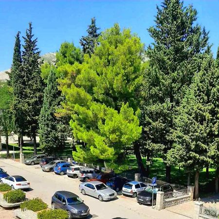 טרביניה Apartman Park מראה חיצוני תמונה
