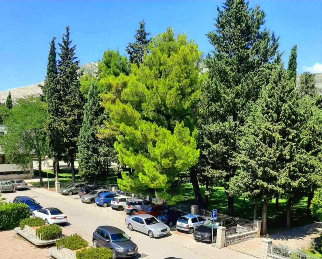 טרביניה Apartman Park מראה חיצוני תמונה